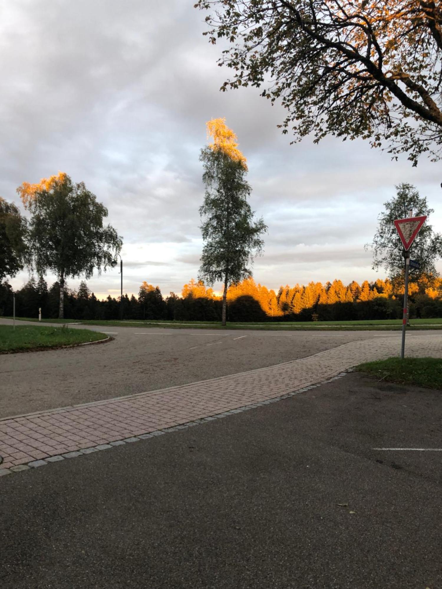 Loßburg Solhof-Schoemberg מראה חיצוני תמונה